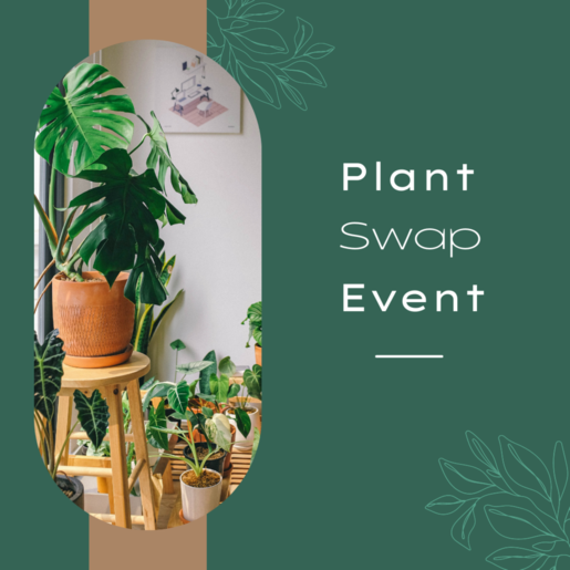 Plant Swap Event