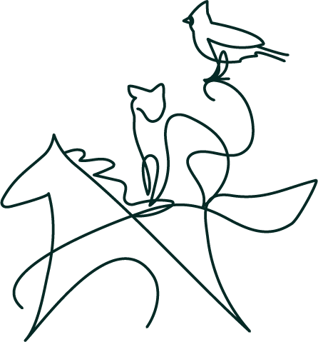 Horse Bird Cat Illustration